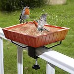 In Ground Bird Bath