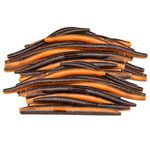 PROBITE Senko Soft Plastic Worm 100PCS, Soft Fishing Lures for Bass, Fishing Stick Bait Lures