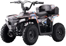 Droyd Animal Electric Youth ATV for