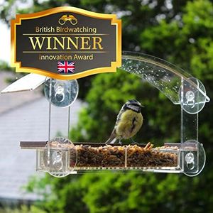 Window Bir