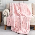 BUZIO Sherpa Fleece Weighted Blanket for Adult, 20 lbs Heavy Ultra Cozy Bed Blanket with Soft Plush Flannel, 60 x 80 inches, Full Pink