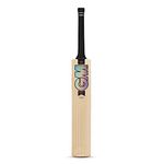 GM Chroma Players Edition English Willow Professional Cricket Bat | Ready to Play | Lightweight | Short Handle, Multicolor