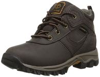 Timberland unisex child Hiking Boot, Brown, 6 Toddler US