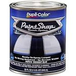 Dupli-Color BSP210 Paint Shop Finis