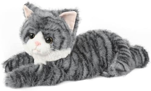 Gray Tabby
