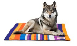 KIBBO Pet Mat for Dogs and Cats | Lightweight and Portable | Durable, Washable, Anti Slip Base and Stripe Design | Suitable for Large & Extra Large Breeds, Orange Purple (117x73 CM)