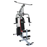 Life Line Fitness Multi Home Gym Multiple Muscle Workout Exercise Machine Chest Biceps Shoulder Back Triceps Legs For Men At Home,60Kg Weight Stack,Made In India (Hg-009 (With Installation))