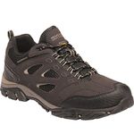 Regatta Men Holcombe IEP Low Rise Hiking Boots, Brown, 10 UK (45 EU)