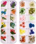 Dry Dried Flowers for Nails, Nails Decoration,Natural Pressed Petals for Nail Art Design, DIY Manicure (A01)