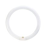 DECK INN 60 Watt T9 4-Pin Circular Fluorescent Tube, Glass, Warm White- 4050 Lumen -3000 Kelvin {Energy Class A}