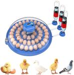 OUYOLAD 52 Eggs Incubator Automatic Incubator with Automatic Egg Turning and Water Adding, Egg Candler, Farm Poultry Egg Incubators for Hatching Chicken Duck Goose Pigeon