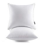MIULEE 18x18 Pack of 2 Pillow Inser