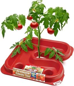 DALEN Gardeneer Tomato Tray Super Boost – Increases Tomato Plant Yield up to 40% – Easy to Install – 12" Wide x 12" deep x 3.5" high – Pack of 3