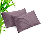 Bamboo Pillow Cases Standard Size 2 Pack, Greish Purple Cooling Pillowcases with Envelope Closure, Cool & Breathable Pillow Case for Hot Sleepers and Night Sweats, 20x26 inches