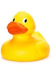 Tobar Giant Duck Bath Toy, 26 x 32 x 25 cm, Assorted