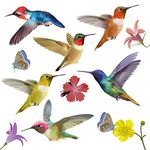 WALPLUS 12pcs Big Hummingbirds Windows Clings Multicoloured Double-Sided Print Anti Collision Bird Strike Art Window Decors Stickers Set Home Self-Adhesive Decorations Decals for Bedroom Living Room