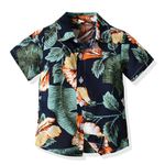 Sanqidu Toddler Baby Boy Floral Button Down Shirts Hawaiian Tropical Short Sleeve Tops Aloha Holiday Beach Wear Clothing (D, 12-18 Months)