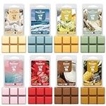 Salubrito Summer Scented Wax Melts,