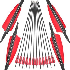 ZSHJGJR 31 Inch Archery Carbon Arrows Spine 500 Hunting Arrows with Removable Tips 4" Natural Feather Fletching Targeting Arrows for Compound & Recurve & Traditional Bow 6/12pcs (12pcs)