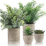 ALAGIRLS Artificial Plants Set of 4 - Small Fake Plants Indoor Plastic Plants Potted, Eucalyptus Rosemary Mini Succulents Faux Plants for Indoors Office Desk Bedroom Decoration