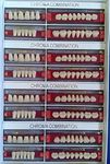 Chromarock Two Layered Acrylic Teeth Set of 4 Full box Size-A3-18