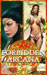 Forbidden Arcana: Immortal Magic Arc (Forbidden Arcana Collections Book 3)