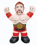 WWE Brawlin Buddies Champion Sheamus