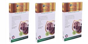 Medfly Healthcare Spot On for Dogs Solution for The Prevention and Treatment of Flea, Tick, and Chewing Lice Infestations