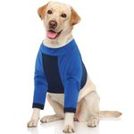 LeLePet Dog Recovery Sleeve Front Leg, Dog Elbow Protector, Dog Leg Surgical Recovery Suit, Dog Leg Wound Joint Protector to Prevent Licking Bite, Short Dog Sleeve Suit Leg Brace Support, Blue 2XL