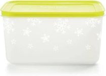 Tupperware Plastic Utility Freezer Container 2.5 L (Multicolor), Blue