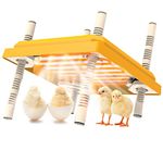 Chick Brooder Heating Plate,Adjustable Height and Angle Chick Brooder,Safe Incubators Alternative to Heat Lamps and Hens,for Chicks/Ducks Thermostat (10" x 10") for 15 Chicks - Yellow