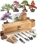 AVERGO Bonsai Tree Kit – 5X Unique 