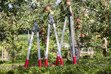 Felco Long Reach Bypass Loppers – 45mm Cut, Alloy Handles, Swiss Made