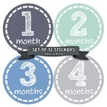 Months in Motion 115 Monthly Baby Stickers - Baby Boy- Months 1-12 - Milestone Sticker