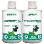 Liquid Chlorophyll Mint – Cold Extracted from Non-GMO Alfalfa - Detox - Alkaline - Natural Body Deodorant – Antioxidant - Made in Canada (Pack of 2)