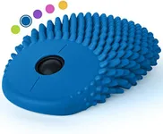 HedgeHog Health Hoglet Wireless Computer Mouse – Cute, Functional, and Tactile Fidget Tool. Combines Stress Relief with Comfort and Style, Perfect for Enhancing Focus and Productivity (Blue)