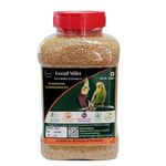 MaF® Foxtail Millet for Birds 450 Gram,Bird Feed Premium Foxtail Millet Enriched with Cuttlefish Bone Grits,Thina, Kangni Seed,Bird Food for Canaries, Finches, Budgies, Lovebirds,All Life Stages