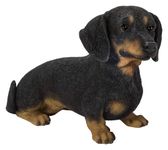 Vivid Arts (Dachshund Sitting Black/Brown