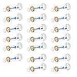 20 Sets Stainless Steel Mirror Screws, 16mm Mirror Nails with Decorative Caps, Brass Mirror Covers Hardware and Rubber Washer for Mirrors, Furniture Fittings, Bath Plates, Tables, Wardrobes, Glass