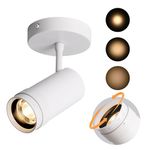 Aisilan LED Zoomable Ceiling Spotlight Indoor 7W Dimmable Adjustable Beam Angle 10-55° Swivelable Angle CRI 97 Matt White Aluminum Accent Lamp for Art, Painting, Skulpture,Wall Photograph, Artwork