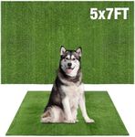 GLOBREEN XXXL Artificial Dog Pee Grass Pad, 5FTX7FT Extra Large Fake Grass for Dog Potty Training, Indoor Outdoor Pets Turf Pee Pad Rug Balcony Patio