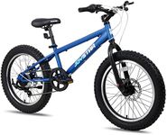 JOYSTAR Blue 20 Inch Kids Mountain 