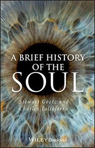 A Brief History of the Soul (Brief Histories of Philosophy)