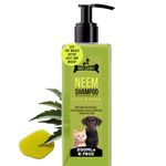 Dogz & Dudez Natural Neem Anti Tick and Flea Dog Shampoo 200ml | for All Types of Dog & Cat Shampoo | Anti Itch Shampoo for Dog with Neem and Lemongrass | Paraben Free, Ph Balanced, Cruelty Free
