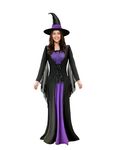 KatchOn, Halloween Witch Costume for Women - Purple Witch Costume with Black Hat | Wicked Witche Costumes, Halloween Cosplay