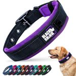 Black Rhino - The Comfort Collar Ultra Soft Neoprene Padded Dog Collar for All Breeds, Dog Collars for Large Dogs - Heavy Duty Adjustable Reflective Weatherproof (Medium, Purple/Bl)