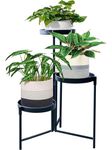 Indoor Plant Stands