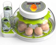 Egg Incubators for Hatching Eggs with Temperature Control, Poultry Egg Incubator with Automatic Egg Turning and Humidity Display, Egg Candler Incubator for Chicken Duck Goose & Quail- Green