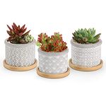 T4U 6CM Cement Succulent Pots with Bamboo Tray 3-Set, Concrete Cactus Pots Small Cacti Planter Grey Gardening Plant Pot Container for Home and Office Decoration Birthday Wedding