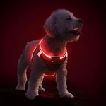 Light Up Dog Harness, Rechargeable LED Dog Harness for Puppy Small Medium Dogs Flashing Glow in the Dark Dog Harness Waterproof for Night Walking Reflective Dog Harness with Light, XS